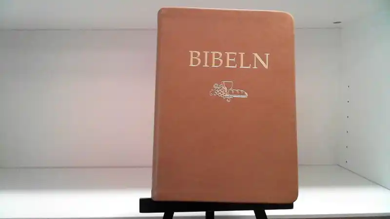 Svenska Folkbibeln 2015. Kompaktbibel brun skinnimitation