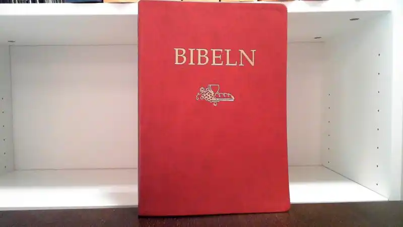 Svenska Folkbibeln 2015. Storstilsbibel i A4- röd skinnimitation