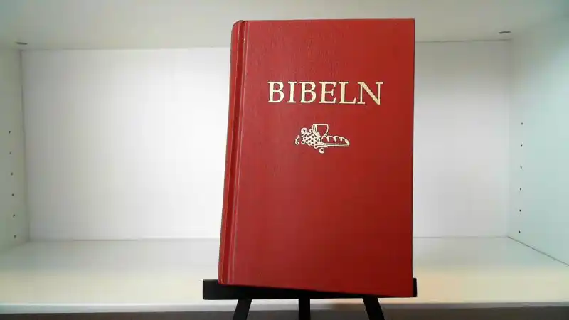 Bibeln Den Heliga Skrift SFB 98