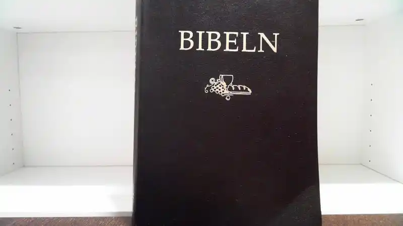 Svenska Folkbibeln 2015. Storstilsbibel i A4 - svart cabraskinn
