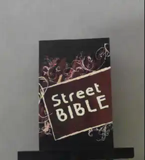 Streetbibeln NT