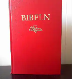 Bibeln Den Heliga Skrift. SFB 2015